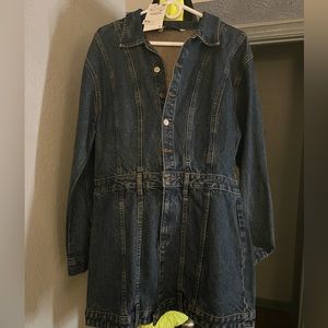 NWT Long Sleeved Zara Denim Dress